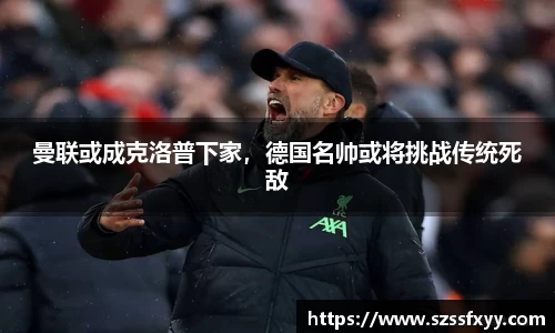 凤凰联盟
