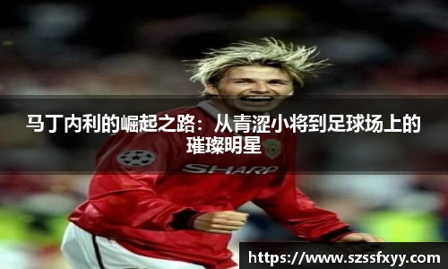 凤凰联盟