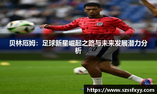 凤凰联盟app